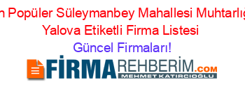 En+Popüler+Süleymanbey+Mahallesi+Muhtarlığı+Yalova+Etiketli+Firma+Listesi Güncel+Firmaları!