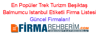 En+Popüler+Trek+Turizm+Beşiktaş+Balmumcu+Istanbul+Etiketli+Firma+Listesi Güncel+Firmaları!