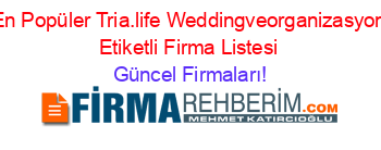En+Popüler+Tria.life+Weddingveorganizasyon+Etiketli+Firma+Listesi Güncel+Firmaları!