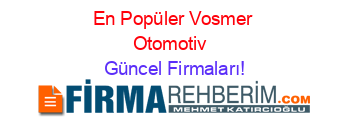 En+Popüler+Vosmer+Otomotiv+ Güncel+Firmaları!