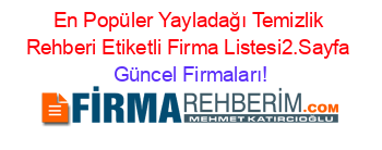 En+Popüler+Yayladağı+Temizlik+Rehberi+Etiketli+Firma+Listesi2.Sayfa Güncel+Firmaları!