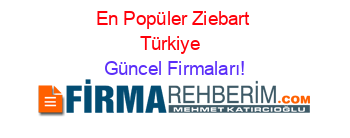 En+Popüler+Ziebart+Türkiye+ Güncel+Firmaları!