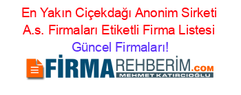 En+Yakın+Ciçekdağı+Anonim+Sirketi+A.s.+Firmaları+Etiketli+Firma+Listesi Güncel+Firmaları!