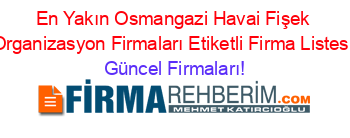 En+Yakın+Osmangazi+Havai+Fişek+Organizasyon+Firmaları+Etiketli+Firma+Listesi Güncel+Firmaları!