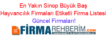 En+Yakın+Sinop+Büyük+Baş+Hayvancılık+Firmaları+Etiketli+Firma+Listesi Güncel+Firmaları!