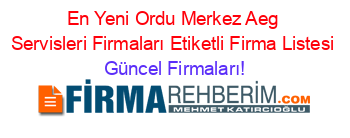 En+Yeni+Ordu+Merkez+Aeg+Servisleri+Firmaları+Etiketli+Firma+Listesi Güncel+Firmaları!