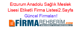 Erzurum+Anadolu+Sağlık+Meslek+Lisesi+Etiketli+Firma+Listesi2.Sayfa Güncel+Firmaları!