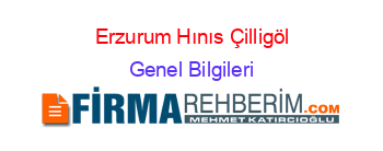Erzurum+Hınıs+Çilligöl Genel+Bilgileri