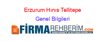 Erzurum+Hınıs+Tellitepe Genel+Bilgileri