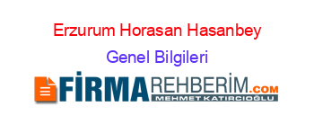 Erzurum+Horasan+Hasanbey Genel+Bilgileri