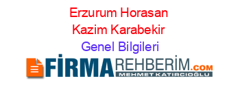 Erzurum+Horasan+Kazim+Karabekir Genel+Bilgileri