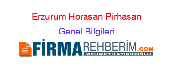 Erzurum+Horasan+Pirhasan Genel+Bilgileri