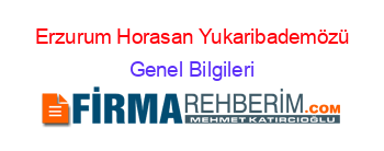 Erzurum+Horasan+Yukaribademözü Genel+Bilgileri