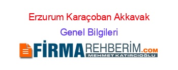 Erzurum+Karaçoban+Akkavak Genel+Bilgileri