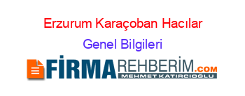 Erzurum+Karaçoban+Hacılar Genel+Bilgileri