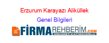 Erzurum+Karayazı+Aliküllek Genel+Bilgileri