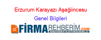 Erzurum+Karayazı+Aşağiincesu Genel+Bilgileri