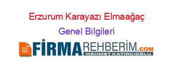 Erzurum+Karayazı+Elmaağaç Genel+Bilgileri