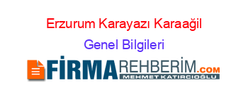 Erzurum+Karayazı+Karaağil Genel+Bilgileri