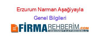 Erzurum+Narman+Aşağiyayla Genel+Bilgileri