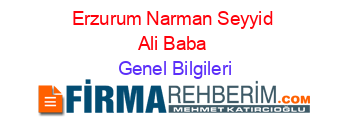 Erzurum+Narman+Seyyid+Ali+Baba Genel+Bilgileri