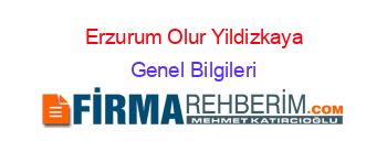 Erzurum+Olur+Yildizkaya Genel+Bilgileri