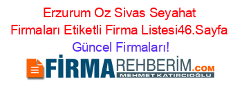 Erzurum+Oz+Sivas+Seyahat+Firmaları+Etiketli+Firma+Listesi46.Sayfa Güncel+Firmaları!