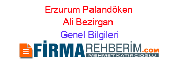Erzurum+Palandöken+Ali+Bezirgan Genel+Bilgileri