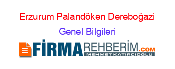 Erzurum+Palandöken+Dereboğazi Genel+Bilgileri