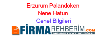 Erzurum+Palandöken+Nene+Hatun Genel+Bilgileri