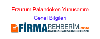 Erzurum+Palandöken+Yunusemre Genel+Bilgileri