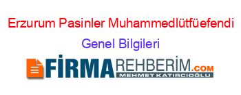 Erzurum+Pasinler+Muhammedlütfüefendi Genel+Bilgileri