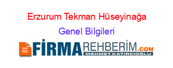 Erzurum+Tekman+Hüseyinağa Genel+Bilgileri