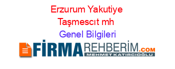 Erzurum+Yakutiye+Taşmescıt+mh Genel+Bilgileri