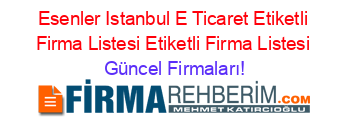 Esenler+Istanbul+E+Ticaret+Etiketli+Firma+Listesi+Etiketli+Firma+Listesi Güncel+Firmaları!