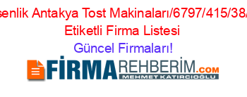 Esenlik+Antakya+Tost+Makinaları/6797/415/38/””+Etiketli+Firma+Listesi Güncel+Firmaları!