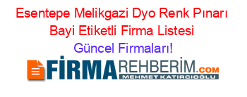 Esentepe+Melikgazi+Dyo+Renk+Pınarı+Bayi+Etiketli+Firma+Listesi Güncel+Firmaları!