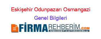 Eskişehir+Odunpazarı+Osmangazi Genel+Bilgileri