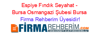 Espiye+Fındık+Seyahat+-+Bursa+Osmangazi+Şubesi+Bursa Firma+Rehberim+Üyesidir!