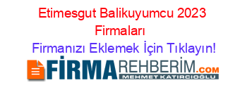 Etimesgut+Balikuyumcu+2023+Firmaları+ Firmanızı+Eklemek+İçin+Tıklayın!