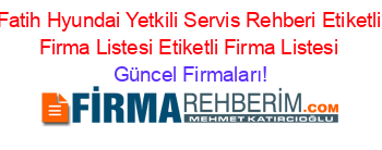 Fatih+Hyundai+Yetkili+Servis+Rehberi+Etiketli+Firma+Listesi+Etiketli+Firma+Listesi Güncel+Firmaları!