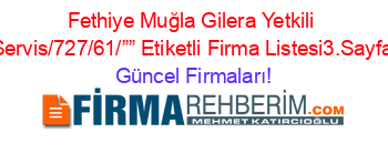 Fethiye+Muğla+Gilera+Yetkili+Servis/727/61/””+Etiketli+Firma+Listesi3.Sayfa Güncel+Firmaları!