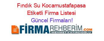 Fındık+Su+Kocamustafapasa+Etiketli+Firma+Listesi Güncel+Firmaları!
