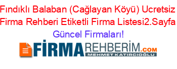 Fındıklı+Balaban+(Cağlayan+Köyü)+Ucretsiz+Firma+Rehberi+Etiketli+Firma+Listesi2.Sayfa Güncel+Firmaları!