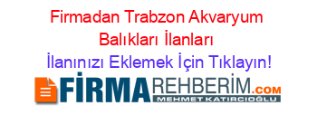 Firmadan+Trabzon+Akvaryum+Balıkları+İlanları İlanınızı+Eklemek+İçin+Tıklayın!