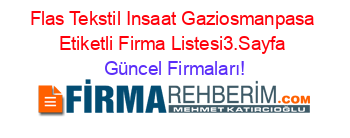 Flas+Tekstil+Insaat+Gaziosmanpasa+Etiketli+Firma+Listesi3.Sayfa Güncel+Firmaları!