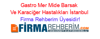 Gastro+Mer+Mide+Barsak+Ve+Karaciğer+Hastalıkları+İstanbul Firma+Rehberim+Üyesidir!