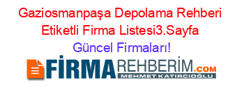 Gaziosmanpaşa+Depolama+Rehberi+Etiketli+Firma+Listesi3.Sayfa Güncel+Firmaları!