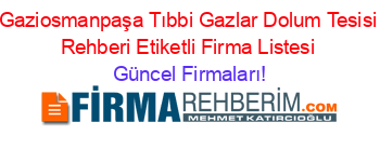 Gaziosmanpaşa+Tıbbi+Gazlar+Dolum+Tesisi+Rehberi+Etiketli+Firma+Listesi Güncel+Firmaları!