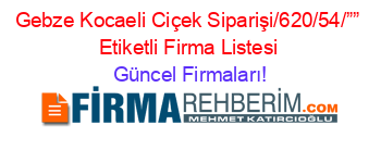 Gebze+Kocaeli+Ciçek+Siparişi/620/54/””+Etiketli+Firma+Listesi Güncel+Firmaları!